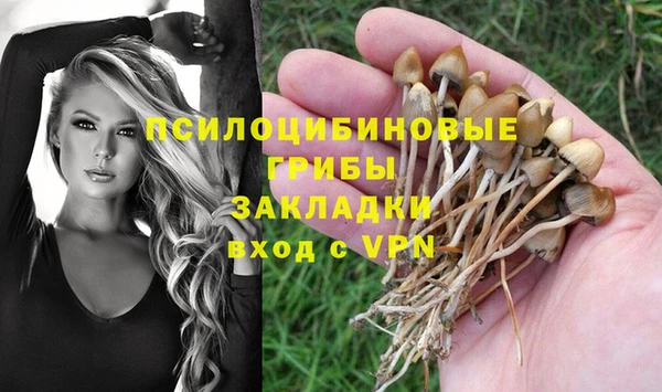 дмт Алексеевка