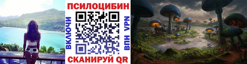 Галлюциногенные грибы Psilocybine cubensis Сасово