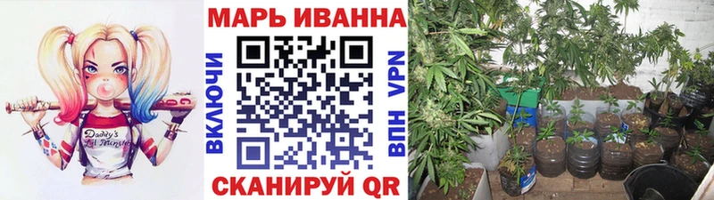 наркота  Сасово  Канабис OG Kush 